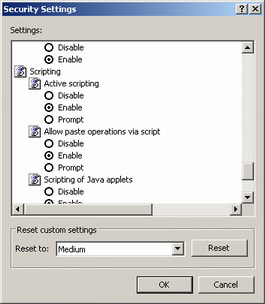 IE - Security Settings